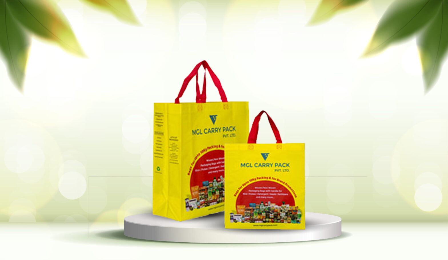 Printed Carry Bag in Delhi